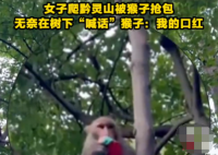 女子爬黔靈山被猴子搶包 這也太無(wú)奈了