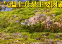 南極正以驚人速度變綠 畫面曝光簡直太無奈了