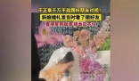 新娘發(fā)言時(shí)看了眼好友笑到崩潰 究竟是怎么回事？