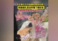 新娘發(fā)言時看了眼好友笑到崩潰 究竟是怎么回事？