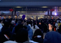 兵馬俑游客羽絨服的毛都擠出來(lái)了 為什么這么多人？