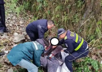 一家3口遇堵車 丈夫下車后離奇失蹤 到底去哪里了？