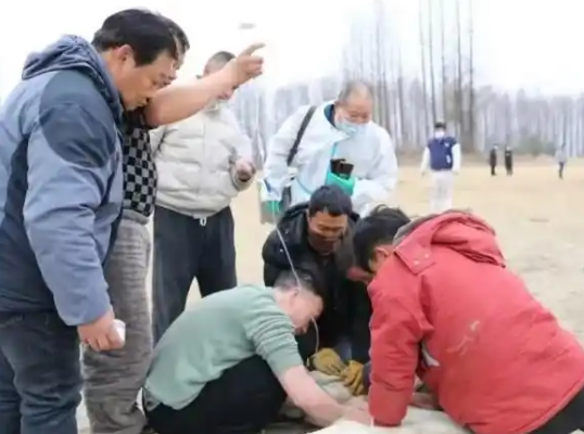 跳江救人的“白龍”馬不幸死亡 到底是怎么死的？