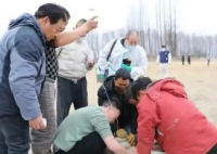 跳江救人的“白龍”馬不幸死亡 到底是怎么死的？
