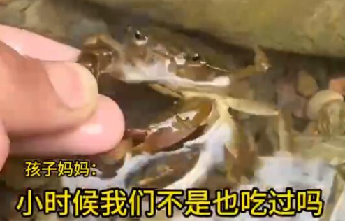 男童生吃蟹腿寄生蟲鉆進(jìn)心臟 究竟是怎么回事？