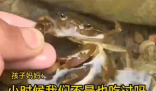 男童生吃蟹腿寄生蟲(chóng)鉆進(jìn)心臟 究竟是怎么回事？