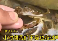 男童生吃蟹腿寄生蟲鉆進心臟 究竟是怎么回事？