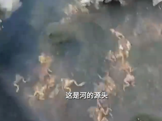 黑龍江一水源地疑遭投毒 警方介入 到底是什么情況？