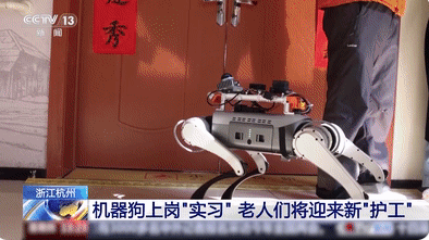 機(jī)器狗的技能值已經(jīng)拉滿了 為什么這么火爆？