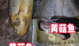 網(wǎng)購(gòu)黃花魚(yú)到手只有包裝是黃的 到底是不是真的？