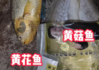 網(wǎng)購黃花魚到手只有包裝是黃的 到底是不是真的？