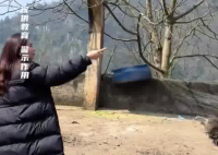 女子挑釁鴕鳥(niǎo)被一腳踹爛羽絨服 這也太倒霉了