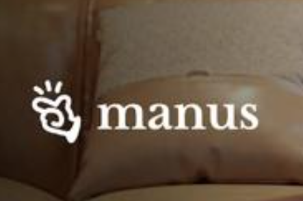 第一波用Manus賺錢的人出現(xiàn)了 為什么這么火爆？