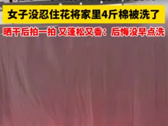 倔強女子花近兩小時洗4斤重棉被 為什么引熱議？