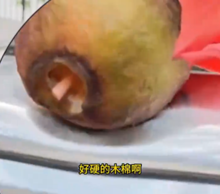 小伙將車停在木棉樹下結(jié)果悲劇了 究竟是怎么回事？