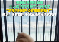 貓在洗衣機里洗了5分鐘才被發(fā)現(xiàn) 實在太恐怖了