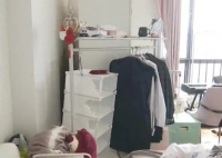 夫妻租房5年妻子多項指標異常 究竟是怎么回事？