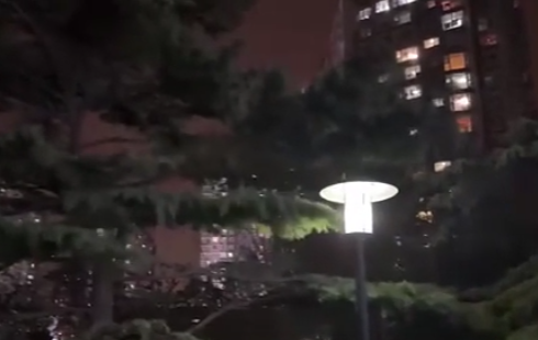 北京極端大風(fēng):樹被吹倒 高樓輕晃 實在太恐怖了