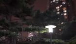 北京極端大風:樹被吹倒 高樓輕晃 實在太恐怖了