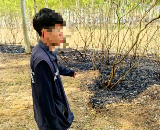 男子點(diǎn)燃楊柳絮引發(fā)火情被行拘 事件始末2025最新消息