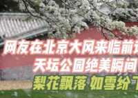 網(wǎng)友展示大風前天壇公園的絕美瞬間 到底是什么樣的？