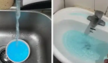 廚房水龍頭流出馬桶水 水務部門回應 究竟是怎么回事？