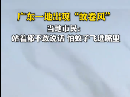 廣東一地蚊子聚集飛舞似龍卷風(fēng) 實(shí)在太罕見了