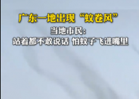 廣東一地蚊子聚集飛舞似龍卷風(fēng) 實在太罕見了
