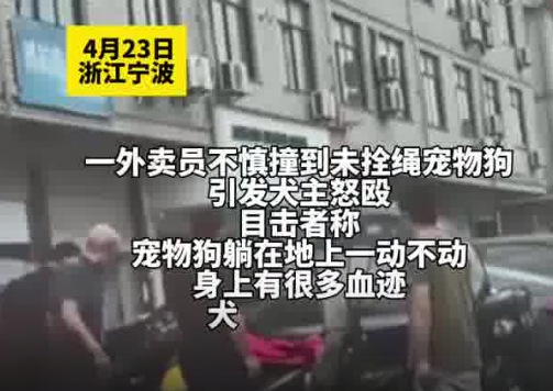 外賣員撞死未牽繩寵物狗被打 為什么引爭議？