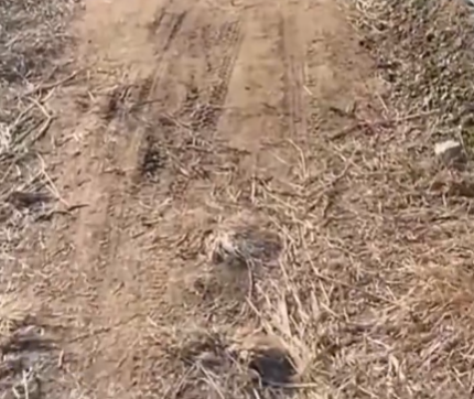 三姐妹給父上墳被炸死 大伯預(yù)埋炸藥 實(shí)在太恐怖了
