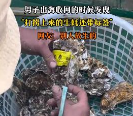 男子出海打撈上來的生蠔帶商品標(biāo)簽 到底是什么情況？