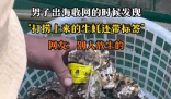 男子出海打撈上來的生蠔帶商品標(biāo)簽 到底是什么情況？