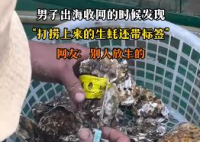 男子出海打撈上來的生蠔帶商品標簽 到底是什么情況？